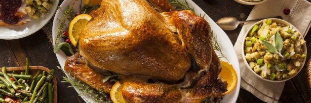 Christmas Turkey